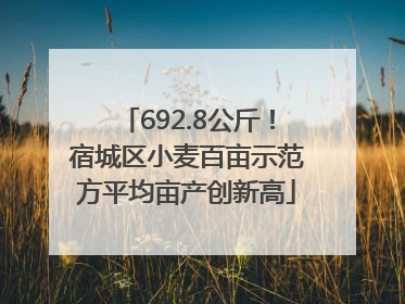 692.8公斤！宿城区小麦百亩示范方平均亩产创新高